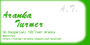 aranka turmer business card